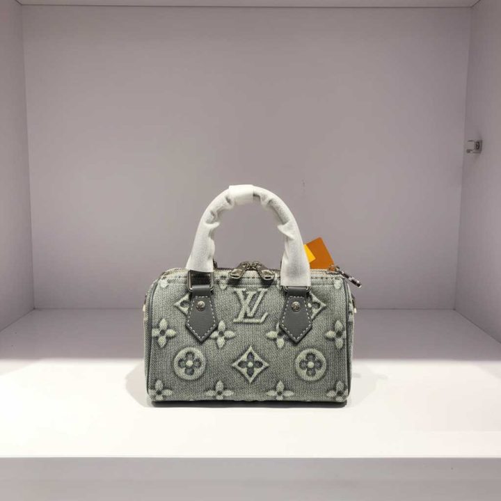 Louis Vuitton Speedy handbag