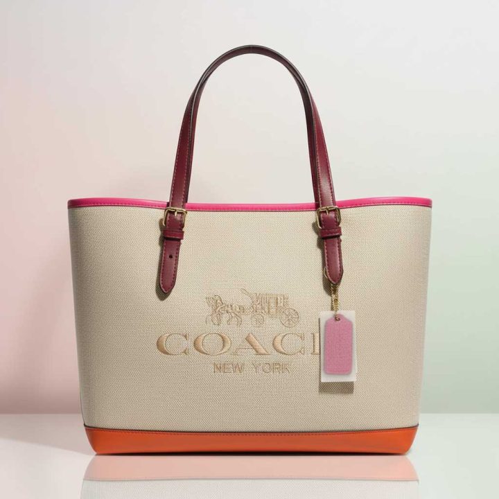 Coach Mollie Tote Bag