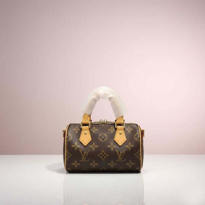 Louis Vuitton Nano Speedy bag